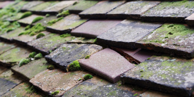 Hartlebury roof repair costs
